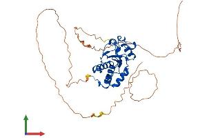 AlphaFold protein structure predicition of Human Recombinant DUSP11 Protein, UniprotID O75319
