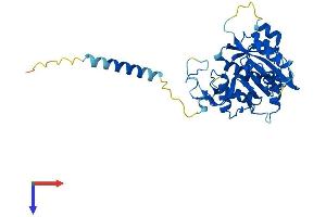 AlphaFold protein structure predicition of Mouse Recombinant B3galnt1 Protein, UniprotID Q920V1