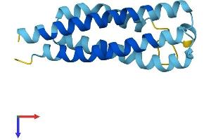 AlphaFold protein structure predicition of Human Recombinant CNIH1 Protein, UniprotID O95406