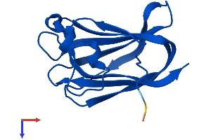 AlphaFold protein structure predicition of Human Recombinant NR2C2AP Protein, UniprotID Q86WQ0