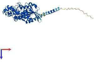 AlphaFold protein structure predicition of Human Recombinant GNA13 Protein, UniprotID Q14344