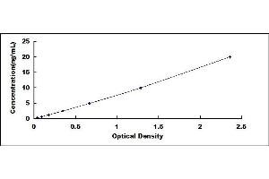 Typical standard curve (Fibrillin 1 Kit ELISA)
