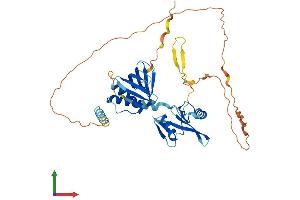 AlphaFold protein structure predicition of Mouse Recombinant Stap2 Protein, UniprotID Q8R0L1