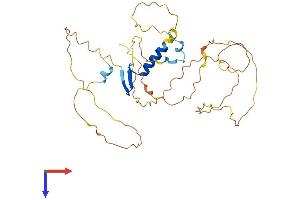 AlphaFold protein structure predicition of Human Recombinant VGLL3 Protein, UniprotID A8MV65