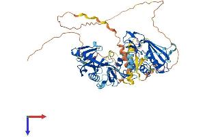 AlphaFold protein structure predicition of Human Recombinant DTX1 Protein, UniprotID Q86Y01