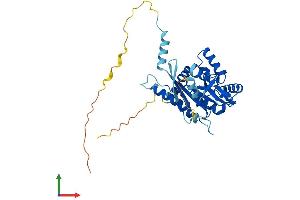 AlphaFold protein structure predicition of Mouse Recombinant Septin3 Protein, UniprotID Q9Z1S5