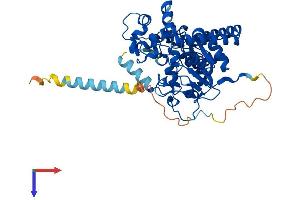 AlphaFold protein structure predicition of Human Recombinant GAL3ST1 Protein, UniprotID Q99999