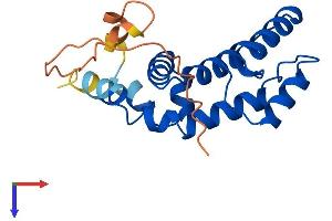 AlphaFold protein structure predicition of Mouse Recombinant Rgs8 Protein, UniprotID Q8BXT1