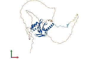AlphaFold protein structure predicition of Human Recombinant KMT5A Protein, UniprotID Q9NQR1