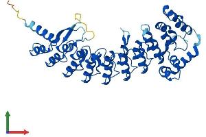 AlphaFold protein structure predicition of Human Recombinant ASB4 Protein, UniprotID Q9Y574