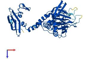 AlphaFold protein structure predicition of Human Recombinant BBOX1 Protein, UniprotID O75936