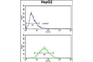 ZFP36 Antibody (Center) (ABIN652459 and ABIN2842311) flow cytometry analysis of HepG2 cells (bottom histogram) compared to a negative control (top histogram). (ZFP36 anticorps  (AA 119-148))