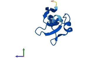 AlphaFold protein structure predicition of Mouse Recombinant Cks2 Protein, UniprotID P56390