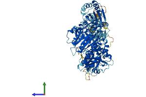 AlphaFold protein structure predicition of Human Recombinant SLFN13 Protein, UniprotID Q68D06