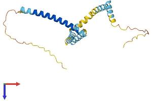 AlphaFold protein structure predicition of Human Recombinant TPD52L2 Protein, UniprotID O43399
