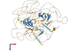 AlphaFold protein structure predicition of Human Recombinant RERE Protein, UniprotID Q9P2R6