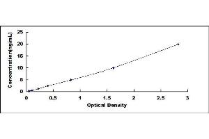 Typical standard curve (LTBR Kit ELISA)