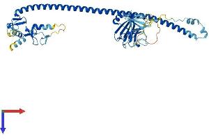 AlphaFold protein structure predicition of Human Recombinant TRIM17 Protein, UniprotID Q9Y577