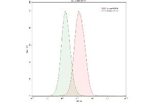 Detection of ALDOA in HepG2 human hepatocellular carcinoma cell line using Polyclonal Antibody to Aldolase A, Fructose Bisphosphate (ALDOA)