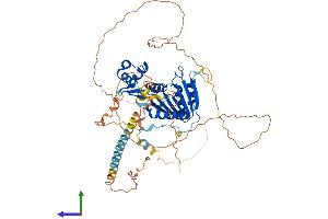 AlphaFold protein structure predicition of Human Recombinant FAM83D Protein, UniprotID Q9H4H8