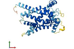 AlphaFold protein structure predicition of Human Recombinant SLC25A17 Protein, UniprotID O43808