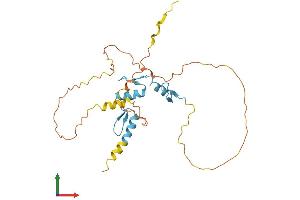 AlphaFold protein structure predicition of Mouse Recombinant Osr1 Protein, UniprotID Q9WVG7
