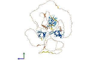 AlphaFold protein structure predicition of Mouse Recombinant Dvl2 Protein, UniprotID Q60838