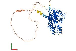 AlphaFold protein structure predicition of Human Recombinant NMNAT2 Protein, UniprotID Q9BZQ4