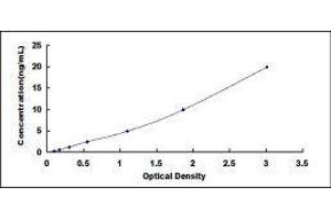 Occludin (OCLN) ELISA Kit