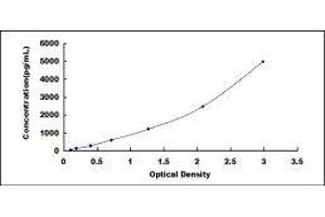 Typical standard curve (APOA4 Kit ELISA)