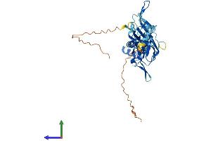 AlphaFold protein structure predicition of Mouse Recombinant Kcnj11 Protein, UniprotID Q61743