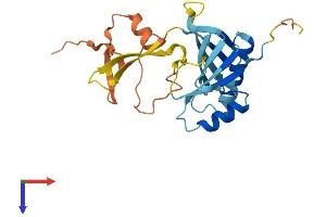 AlphaFold protein structure predicition of Human Recombinant OAZ3 Protein, UniprotID Q9UMX2