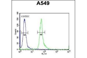 HEMK1 Antibody (C-term) (ABIN654963 and ABIN2844602) flow cytometric analysis of A549 cells (right histogram) compared to a negative control cell (left histogram). (HEMK1 anticorps  (C-Term))