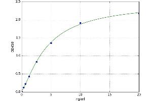 Ephrin A4 (EFNA4) ELISA Kit