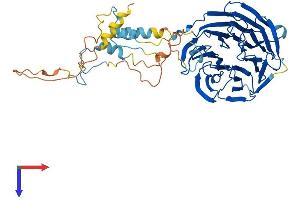 AlphaFold protein structure predicition of Human Recombinant FZR1 Protein, UniprotID Q9UM11