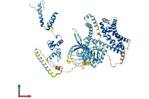 AlphaFold protein structure predicition of Human Recombinant ECT2L Protein, UniprotID Q008S8