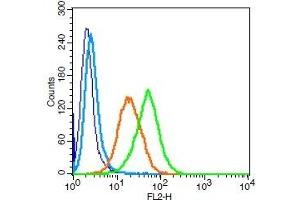 Human U937 cells probed with LAMP-1 Polyclonal Antibody, Unconjugated  (green) at 1:100 for 30 minutes followed by a PE conjugated secondary antibody compared to unstained cells (blue), secondary only (light blue), and isotype control (orange).