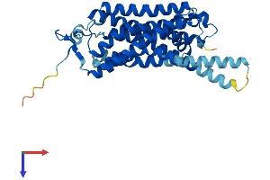 AlphaFold protein structure predicition of Human Recombinant TAAR8 Protein, UniprotID Q969N4