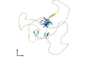 AlphaFold protein structure predicition of Human Recombinant APLF Protein, UniprotID Q8IW19