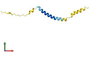 AlphaFold protein structure predicition of Human Recombinant CTXN3 Protein, UniprotID Q4LDR2