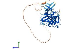 AlphaFold protein structure predicition of Human Recombinant FBL Protein, UniprotID P22087
