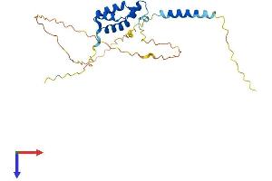 AlphaFold protein structure predicition of Human Recombinant TGIF2 Protein, UniprotID Q9GZN2