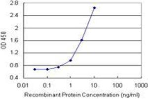 Sandwich ELISA detection sensitivity ranging from 1 ng/mL to 100 ng/mL. (ANKRA2 (Humain) Matched Antibody Pair)