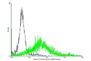 FACS analysis of negative control 293 cells (Black) and ADORA2A expressing 293 cells (Green) using ADORA2A purified MaxPab mouse polyclonal antibody.