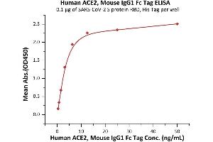 Immobilized SARS-CoV-2 S protein RBD, His Tag (ABIN6952628,ABIN6952651) at 1 μg/mL (100 μL/well) can bind Human ACE2, Mouse IgG1 Fc Tag (ABIN6972939) with a linear range of 0.