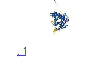 AlphaFold protein structure predicition of Mouse Recombinant Gpr39 Protein, UniprotID Q5U431