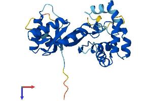 AlphaFold protein structure predicition of Mouse Recombinant Kcnab3 Protein, UniprotID P97382