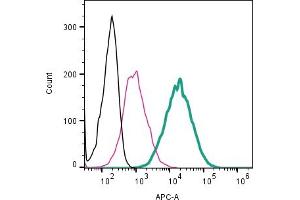 Cell surface detection of CD63 by direct flow cytometry in live intact mouse  microglia cell line: + Rabbit IgG Isotype Control-APC (ABIN7582043).