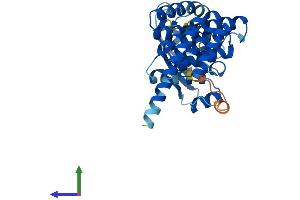 AlphaFold protein structure predicition of Mouse Recombinant Aipl1 Protein, UniprotID Q924K1