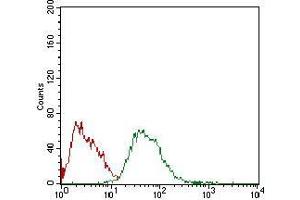 Flow cytometric analysis of HepG2 cells using CSF1R mouse mAb (green) and negative control (red). (CSF1R anticorps  (AA 344-497))